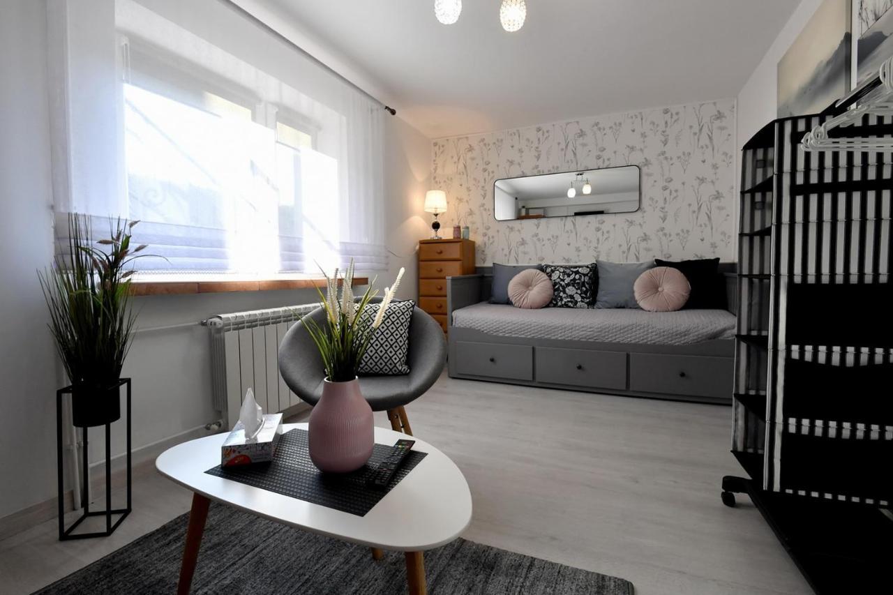 Apartament Spytkowice - Energylandia Krakow Oswiecim Wadowice Εξωτερικό φωτογραφία
