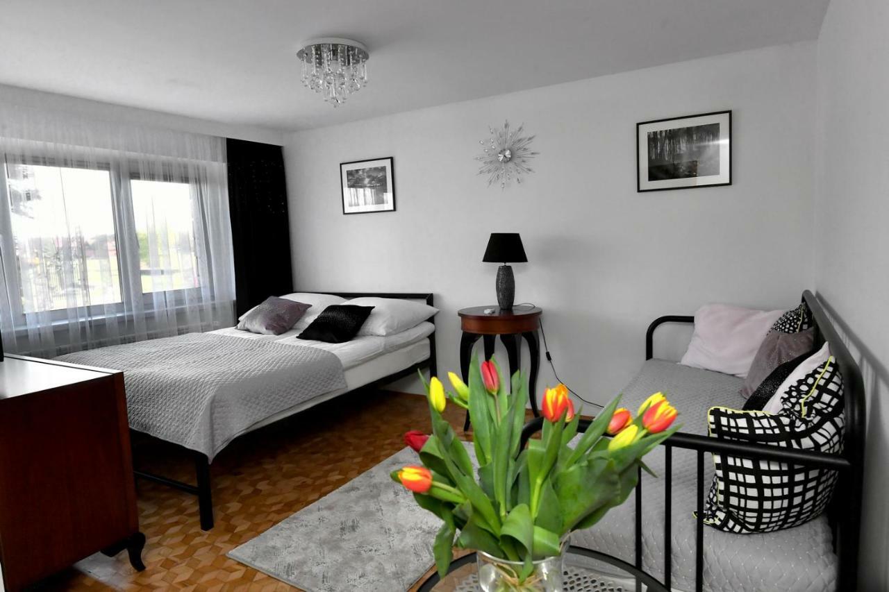 Apartament Spytkowice - Energylandia Krakow Oswiecim Wadowice Εξωτερικό φωτογραφία